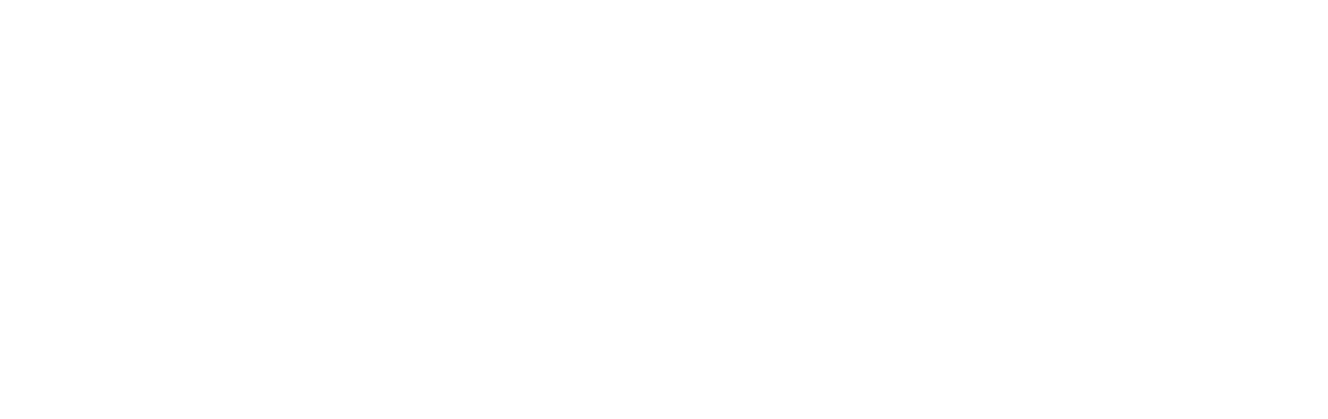 prospect-initiative-logo-white