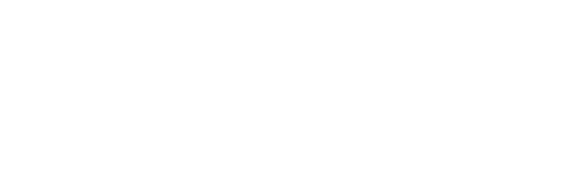 prospect-initiative-logo-white